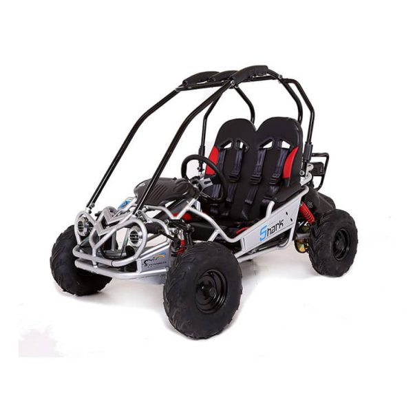 Offroad buggy